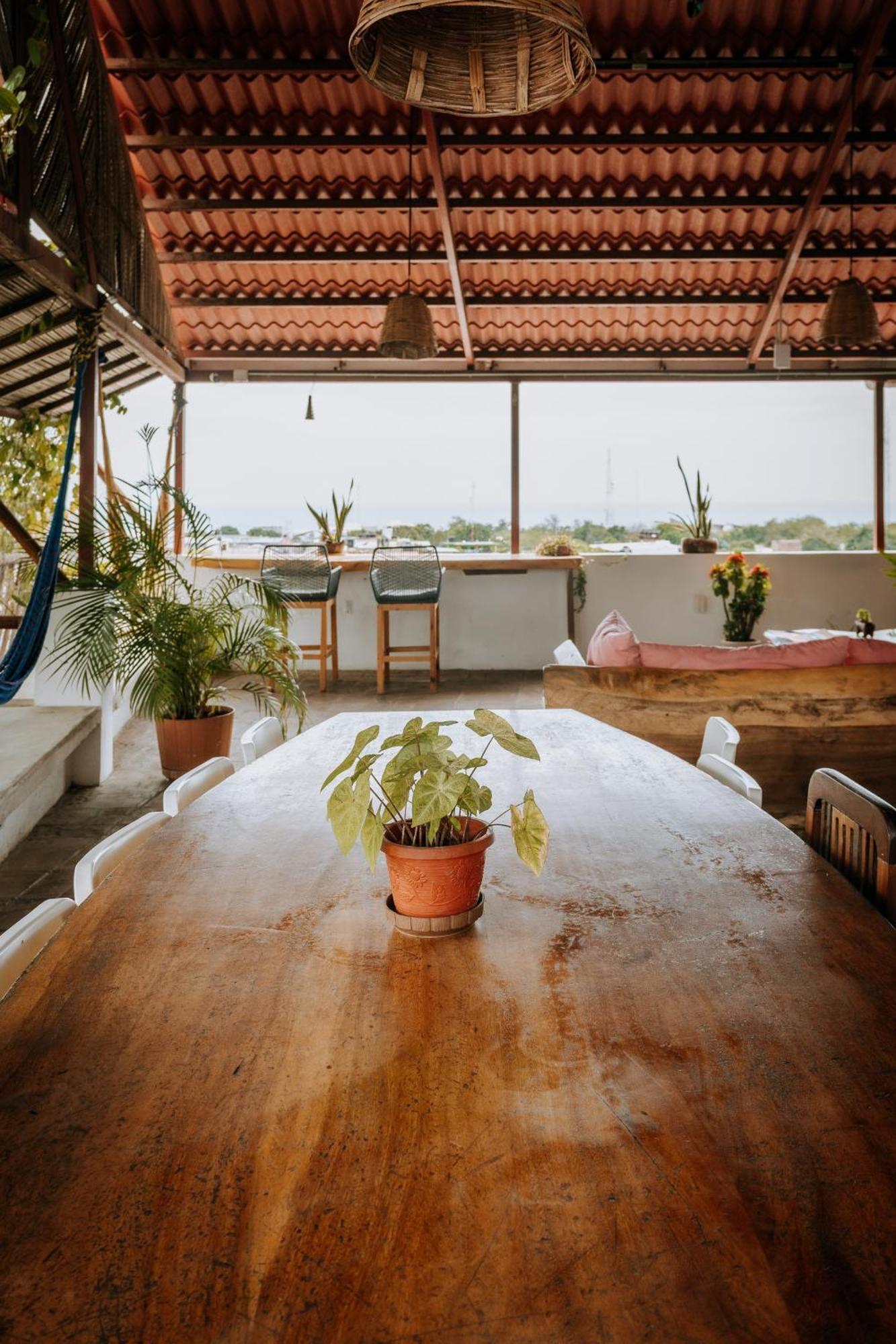 Terraza Puerto Hostel Puerto Escondido  Εξωτερικό φωτογραφία