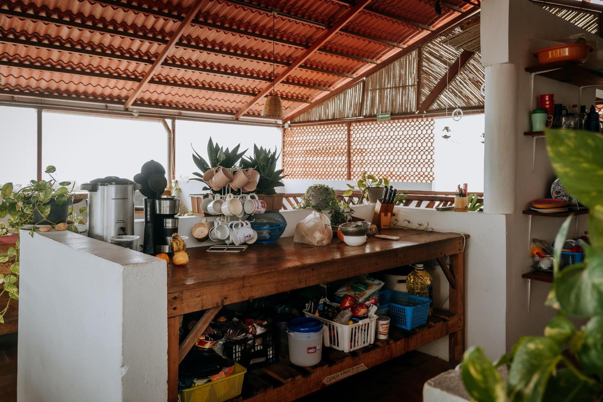 Terraza Puerto Hostel Puerto Escondido  Εξωτερικό φωτογραφία