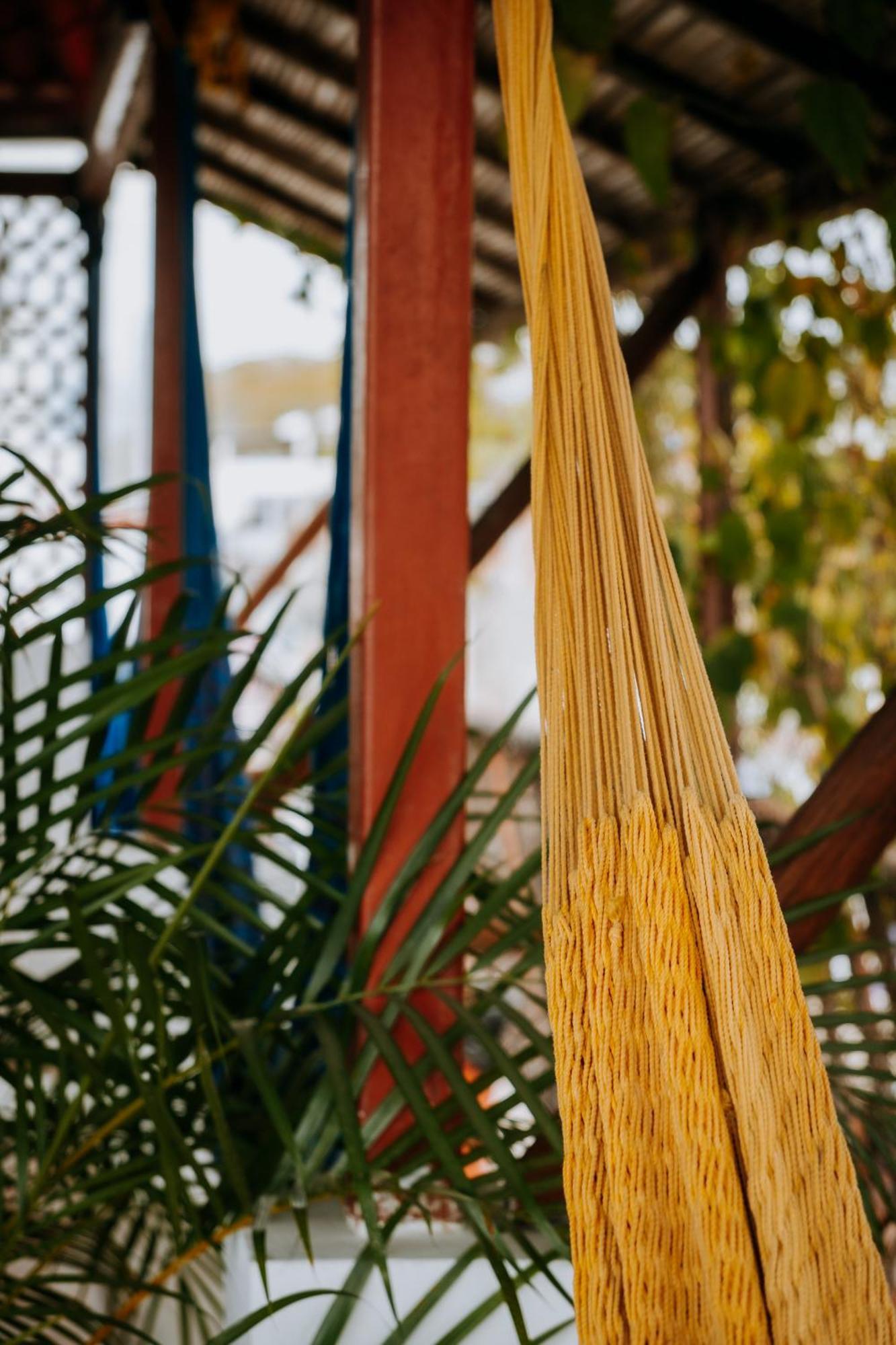 Terraza Puerto Hostel Puerto Escondido  Εξωτερικό φωτογραφία